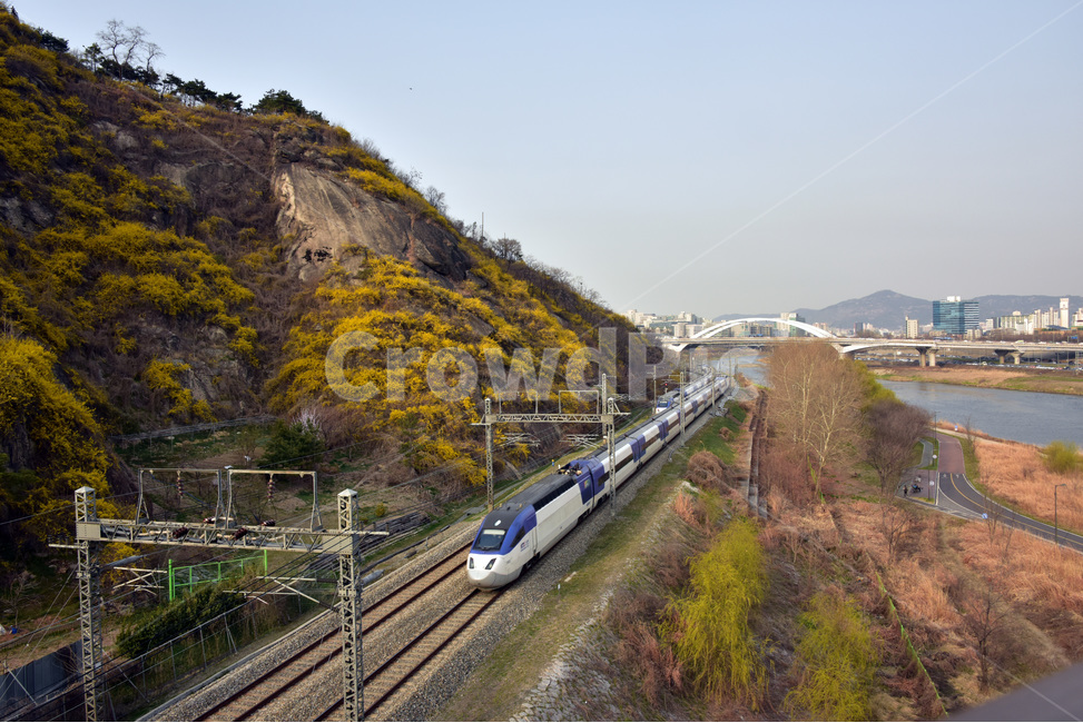 풍경,landscape,응봉산,개나리,응봉산개나리,철길,봄,계절,spring,season,자연,풍경,nature,landscape,교통,교통수단,traffic,transportation,train track,기찻길,rail,레일,railway,철도