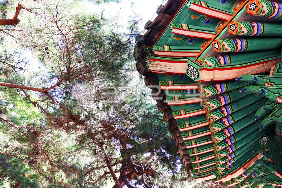 정자,한국전통,전통무늬,전통문양,단청색,ancient,architecture,asia,asian,autumn,background,backgrounds,beautiful,color,colorful,culture,fall,forest,garden,green,historic,history,korea,korean,landscape,natural,nature,old,oriental,outdoor,palace,park,patterns,pavilion,plant,roof,season,seoul,sky,south,style,tradition,traditional,tree,view,wood,wooden