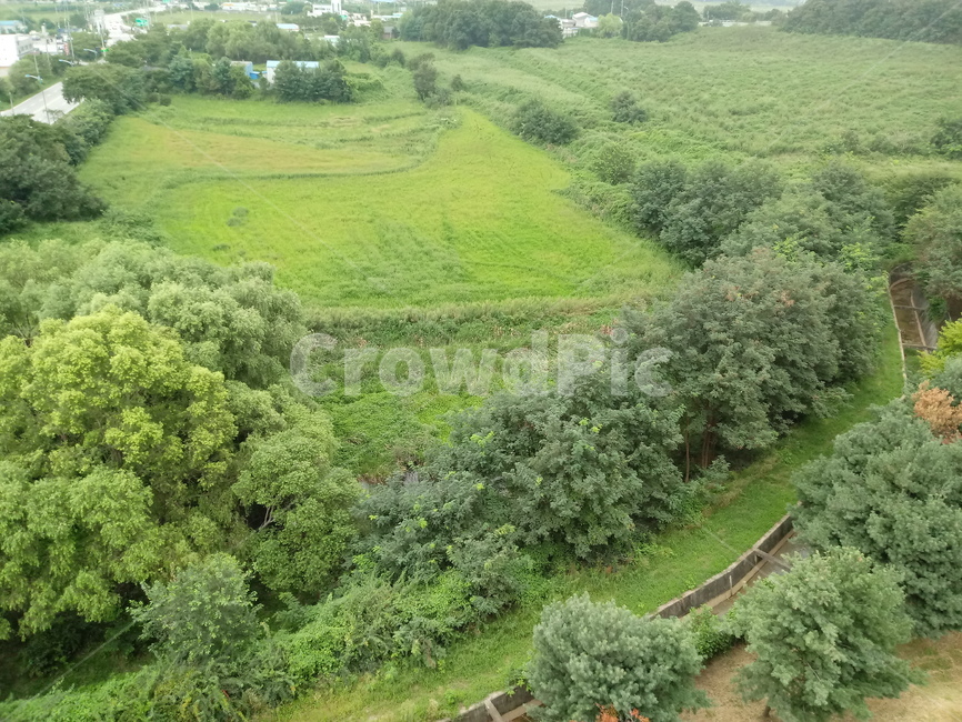 자연,논,밭,나무,숲,들,field,수로,농로,토지,land,초원