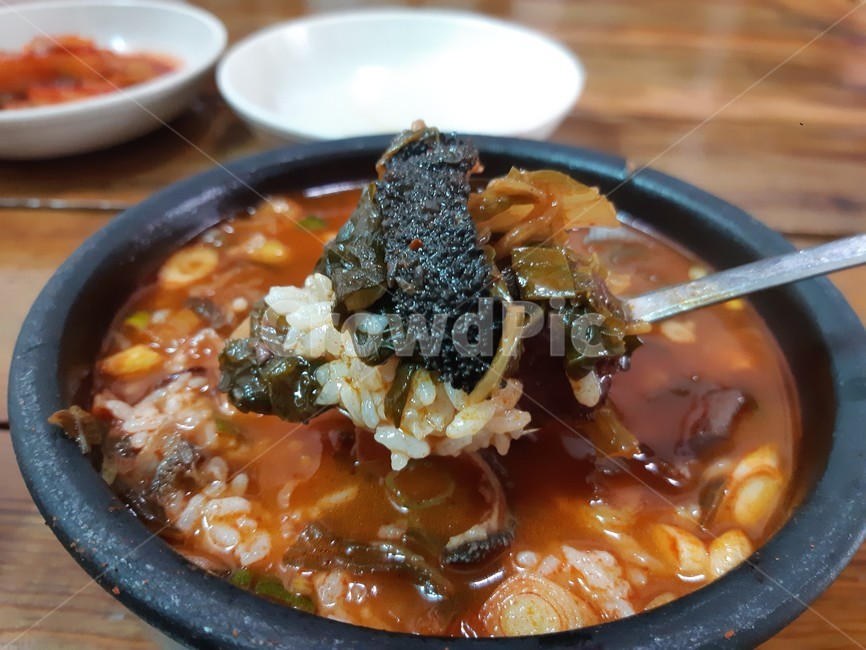 음식,해장국,소양,국밥,선지국,food,식사,음식,식재료,요리,food,cook,meal,dishes,food reserves