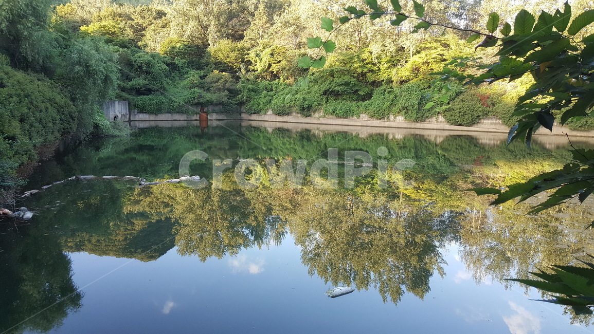자연,정원,경치,물그림자,호수,자연,풍경,nature,landscape,water,물,outdoors,옥외,pond,못