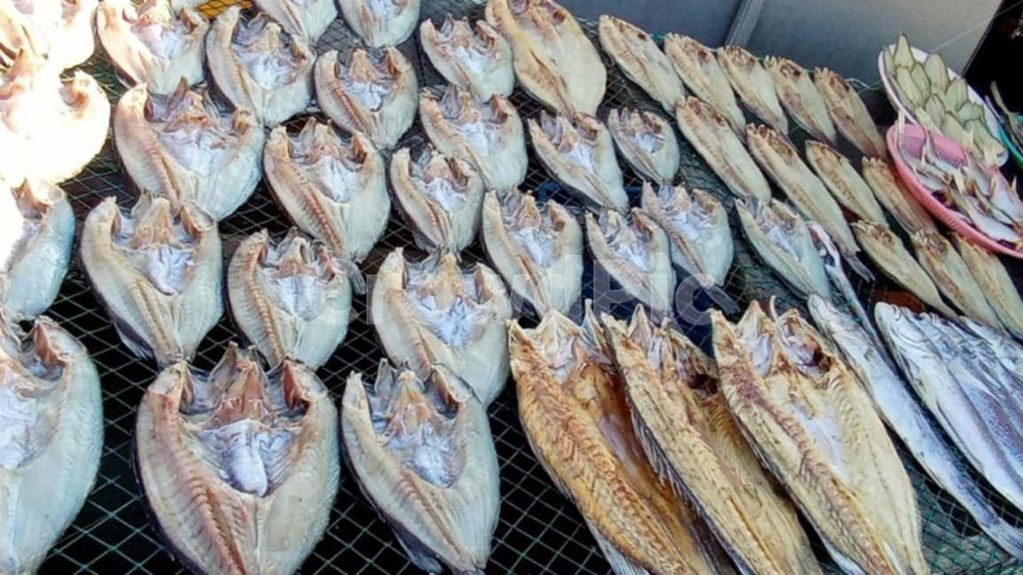 생선,어류,바다생선,음식,반건조생선,수산물,해산물,fishery products,seafood