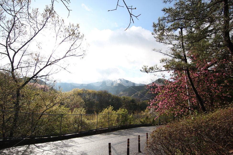 산,느낌,단풍,풍경,배경,구름,가을,계절,fall,autumn,season,자연,풍경,nature,landscape,outdoors,옥외,water,물