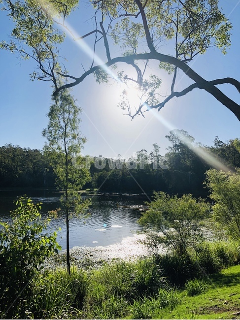 하늘,노울,풍경,저녁노을,구름,호수,맑음,자연,풍경,nature,landscape,water,물,outdoors,옥외,tree,나무,plant,식물