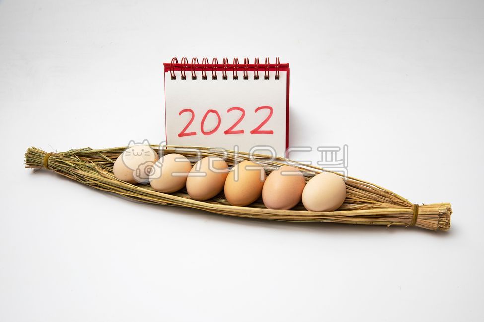 egg,wealthy,yellow egg,hope,tight,qnwkehltpdy,new year golden year,2022calendar,jackpot,golden,property,1lyearyplan,text,savings,newyeardream,plan,new year,newyeargoldenyear,golden rich,getrich,new year savings,tiger,lmlnnyeon,good luck,get rich in the ne