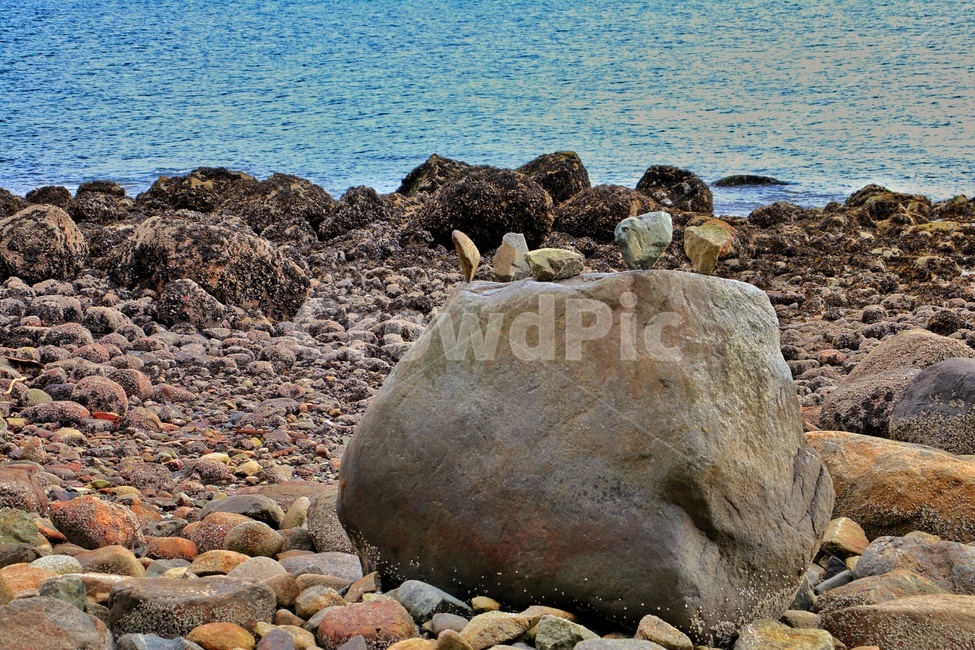 바닷가,돌,바위,바다,신기한돌