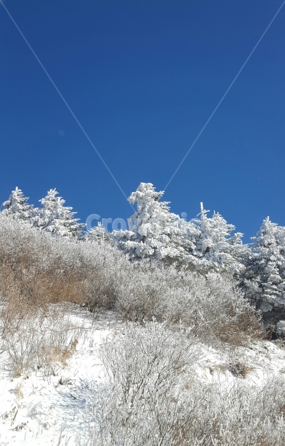 전라북도,남원,지리산,바래봉,설국,상고대,겨울왕국,눈의계절,겨울,흰눈,하얀세상,trekking,snow,winter,겨울,계절,winter,season,자연,풍경,nature,landscape,outdoors,옥외,눈