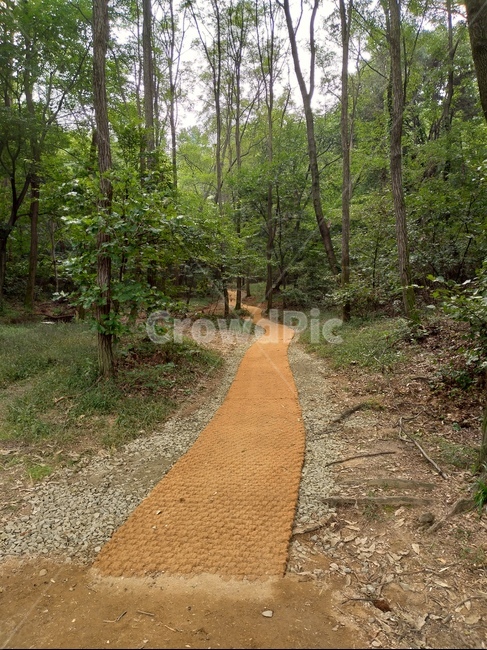 가지않은길,theroadnottaken,apathtothemysteriousplace,길,가고싶은길,미지의세계로,자연,풍경,nature,landscape