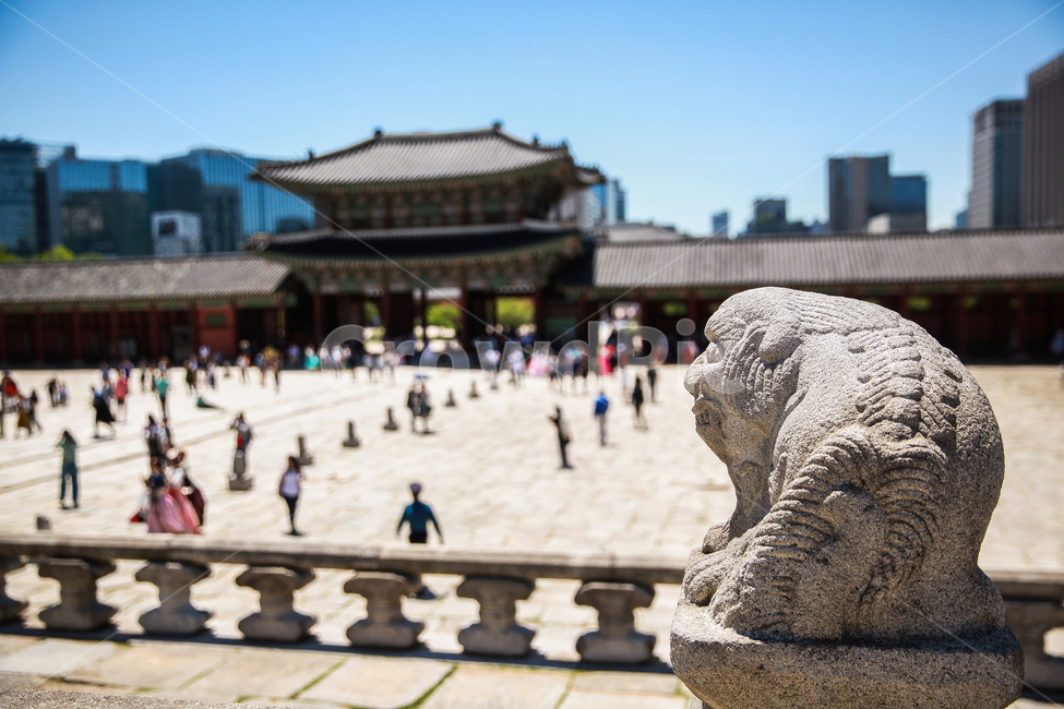 경복궁,돌,돌사자,돌사자상,시선,한국전통,한국문화,korean traditional,korean culture,랜드마크,landmark,tourist attraction,한국랜드마크,한국관광지,한국명소,korea landmark,korea tourist attraction,사람들,대중,군중,other people,crowd,건축물,건물외관,exterior,building,structure,architecture,construction