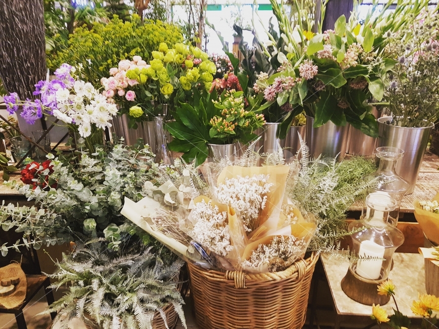 꽃,화단,선물,기념일,식물,꽃다발,봄,플라워카페,식물,자연,plants,nature,꽃,flower