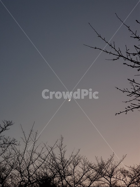 달,야경,퇴근,초승달,하늘,별자리,moon,night,sky,nature,자연,outdoors,옥외