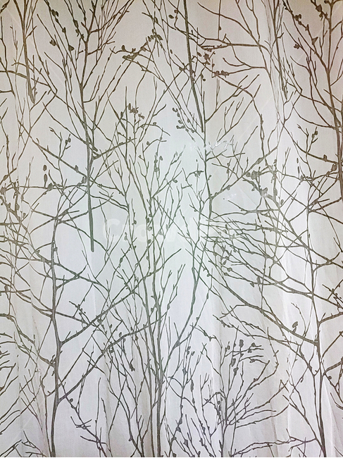 grass,plant,식물,잔디,커튼,식물무늬,무늬커튼,천,나무무늬,가지무늬,무늬천,커튼천