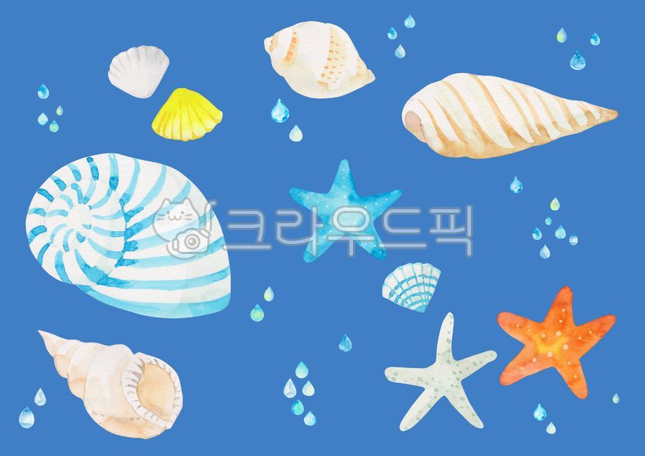 conch,pattern,summer,sea,life,drawing,season,exotic,starfish,handwork,nature,banner,tropical,water drop,popup,watercolor,ocean,painting,background,tropics,plant,animal,illustration,clam,Watercolor,poster