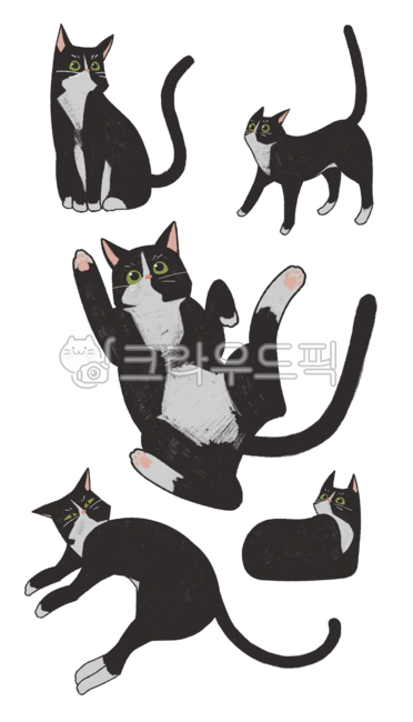 고양이,야옹,야옹이,턱시도,코리안숏헤어,젤리,빵,빵굽는고양이,발바닥,검은고양이,검은,까만,귀찮은,귀여운,색연필,일러스트,그림,png,꼬리,냥젤리