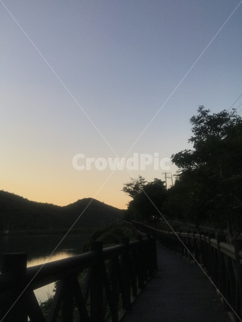 해질녘,산책로,저수지,하늘,나무