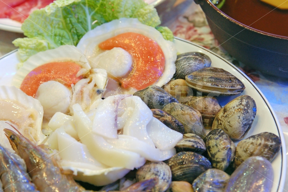 해물,해산물,수산물,가리비,조개,오징어,식재료,요리재료,음식재료,오브젝트,음식,식재료,요리,food,cook,meal,dishes,food reserves,수산물,해산물,fishery products,seafood