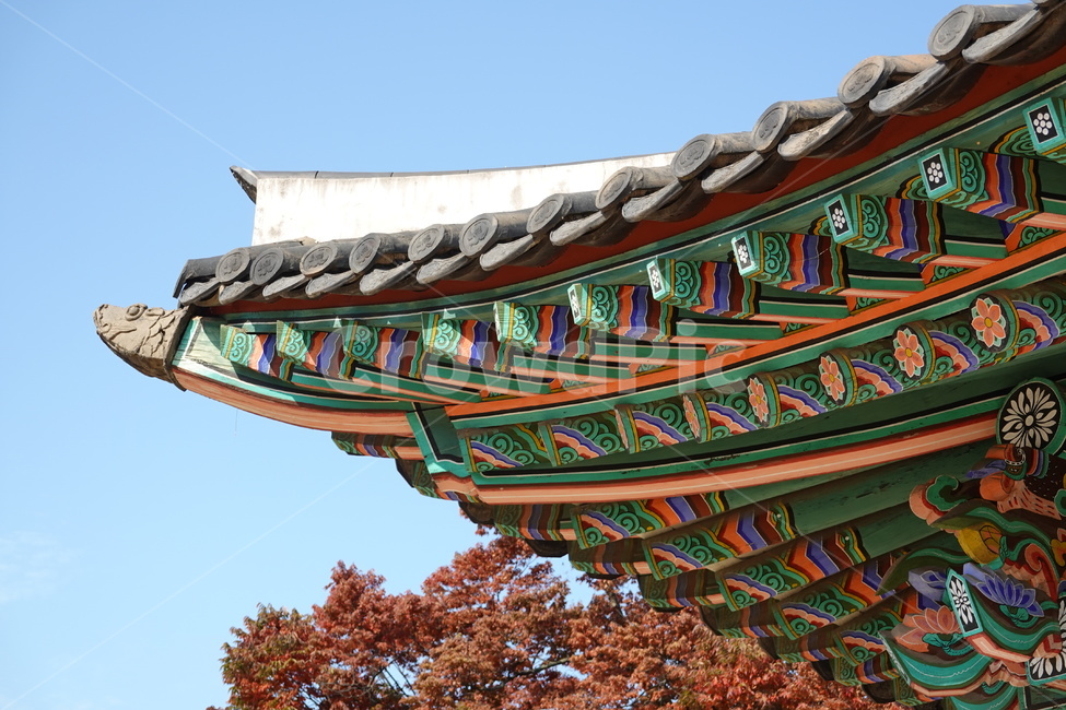 강원감영,하늘,지붕,가을,배경,한국전통,한국문화,korean traditional,korean culture