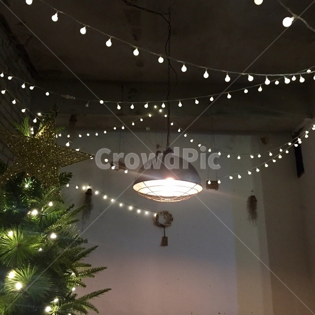 tree,나무,plant,식물,조명,크리스마스,크리스마스트리,앵두전구,메리크리스마스,성탄절,merry christmas,인테리어,실내디자인,interior design