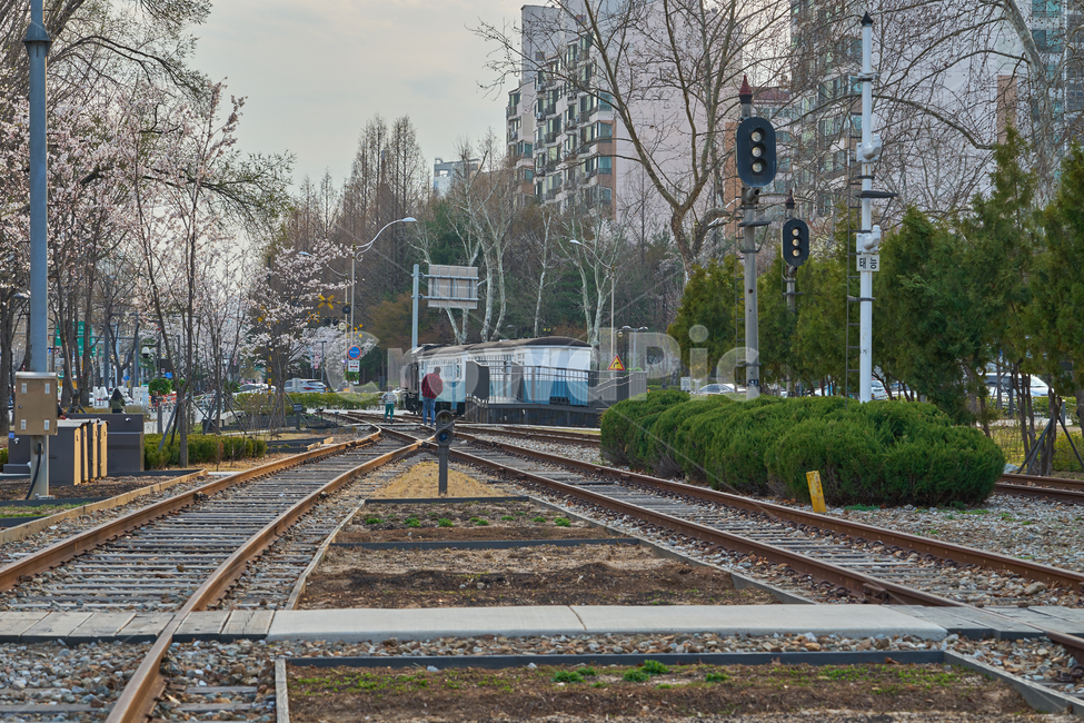 경춘선,철도공원,철도,공원,산책길,아빠와아들,풍경,기찻길,하늘,train,park,railway,landscape,spring,봄