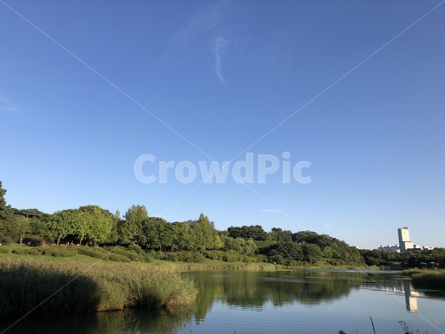 Olympic Park,sky,green,blue,tree,autumn,Olympic,park