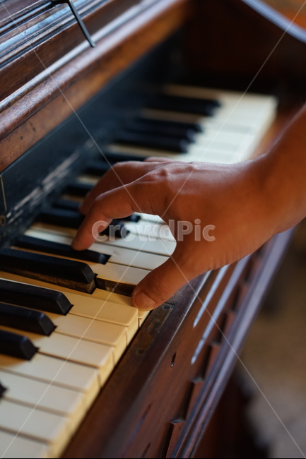 피아노,건반,악기,piano,음악,피아노연주,사람,인물,인간,human,person,신체일부,몸,body,악기,음향기기,musical instrument,musical equipment