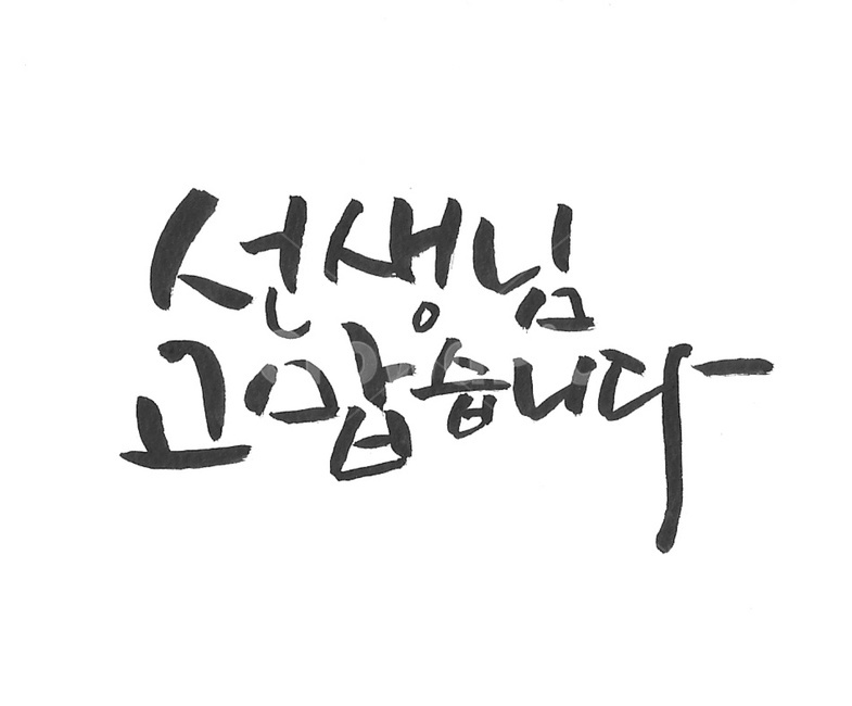 스승의날,선생님고맙습니다,선생님감사합니다,스승의날캘리그라피,캘리그라피,선생님,고맙습니다,캘리,text,본문,교육,학교,공부,education,learning,study,school,캘리그라피,손글씨,calligraphy