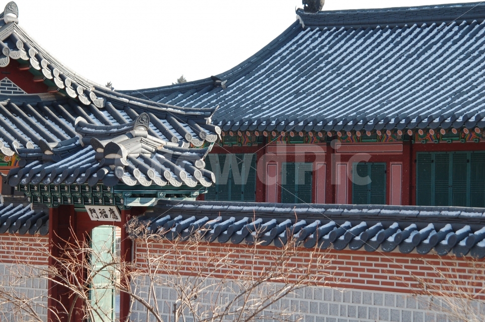 경복궁,니콘,dslr,한옥,기와,풍경,랜드마크,landmark,tourist attraction,한국전통,한국문화,korean traditional,korean culture