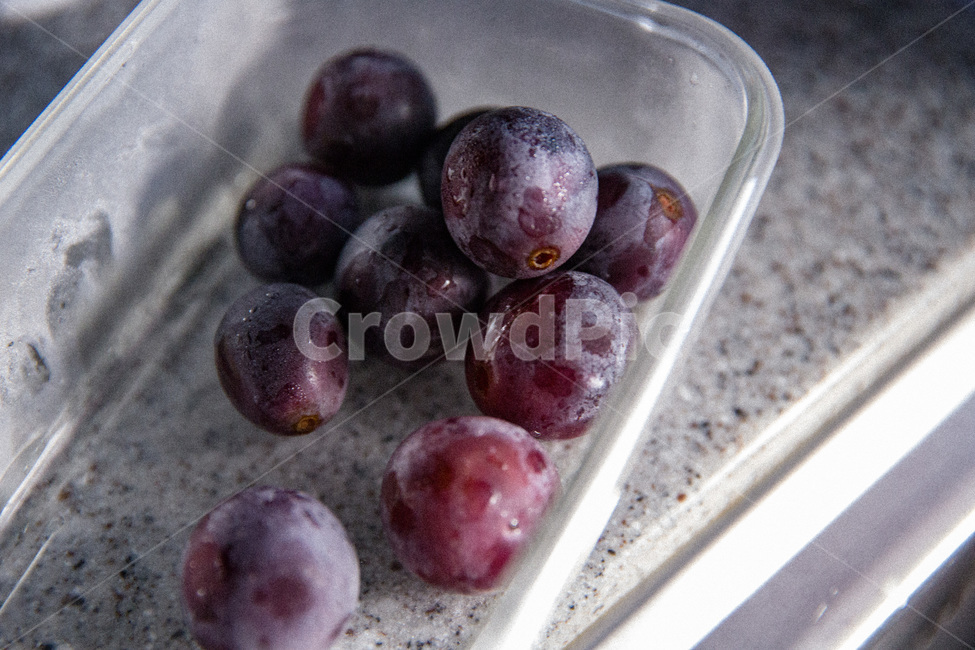 closeup,food,fresh,fruit,grape,grapefruit,healthy,natural,nature,nutrition,organic,purple,sweet,vegetarian,vitamin,포도,과일,보라,신선한,달콤,새콤,거봉,유리그릇,과일,열매,fruit