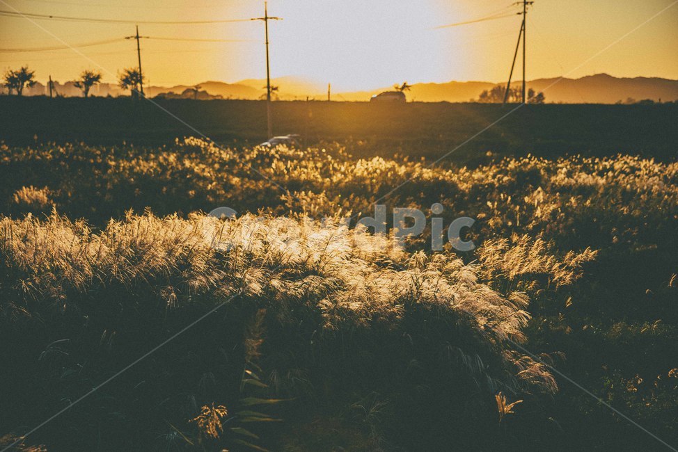 가을,노을,해질녘,자연,감성,sunset,가을,계절,fall,autumn,season