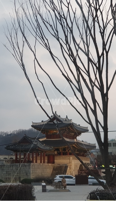 전주,풍남문,나무,소녀상,문화재