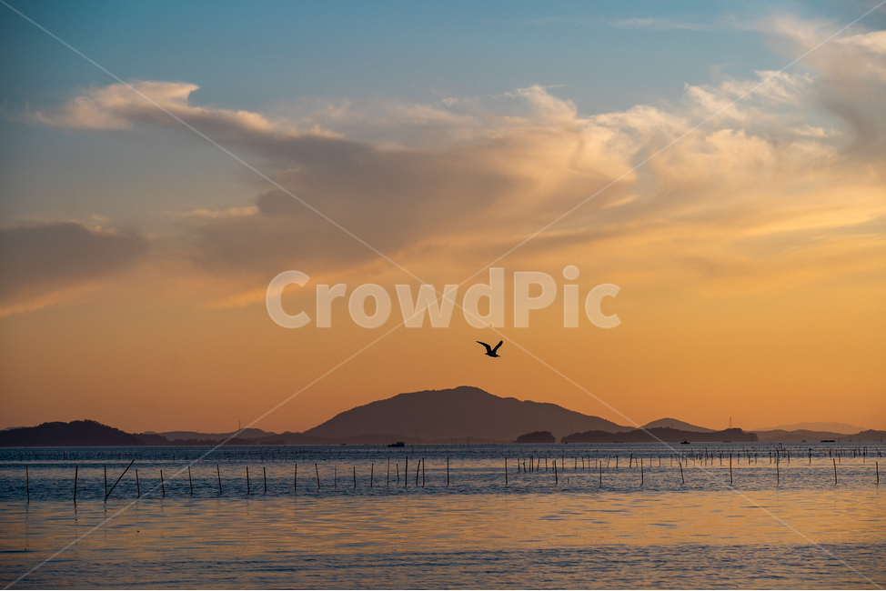 일몰,sunset,새,bird,바다,구름,cloud,붉은노을,redsky,nature,자연,자연,풍경,nature,landscape