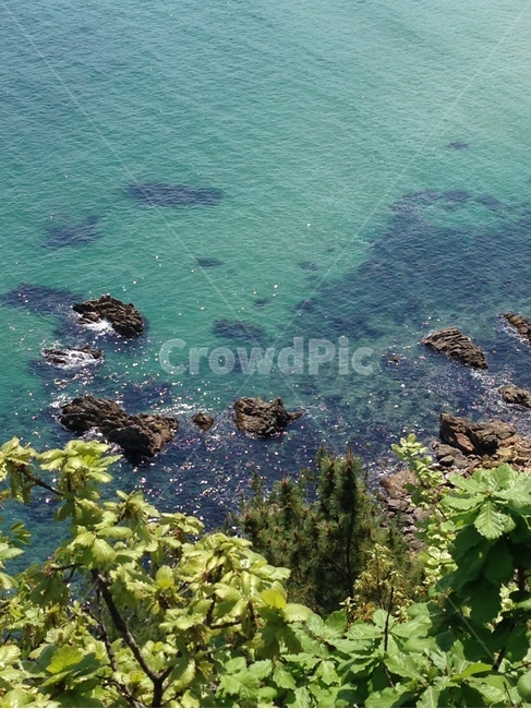 바다,동해,자연,풍경,여름,sea,eastsea,nature,landscape,scenery,summer