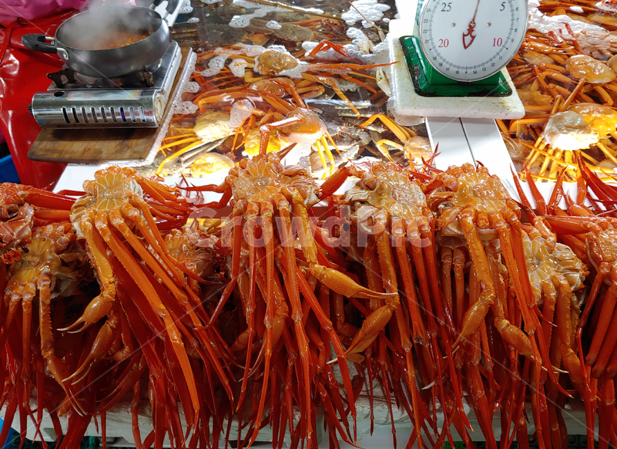 홍게,수산물,게찜,갑각류,토종,음식,푸드,food,seafood,찜요리,해물,해산물,저울,냄비,붉은게,해양생물,동물,어시장,수산시장,시장,마트,마켓,market,mart,market place