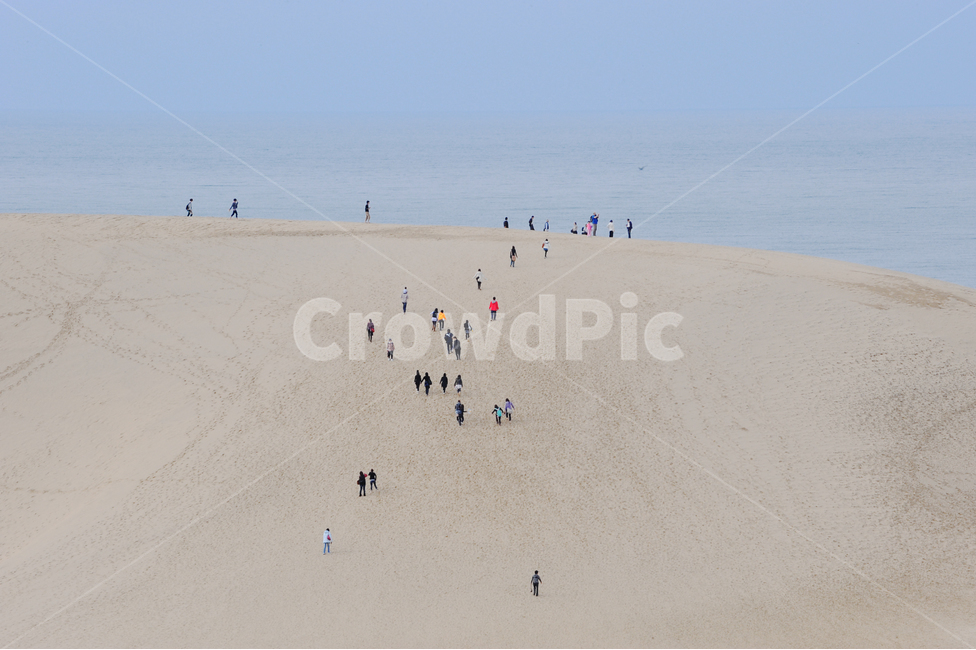 일본,돗토리사구,돗토리현,사구,해변,beach,sand,dune,japan,tottori,바다,sea,일본여행,일본사진,해변,바다,beach,sea,사람들,대중,군중,other people,crowd