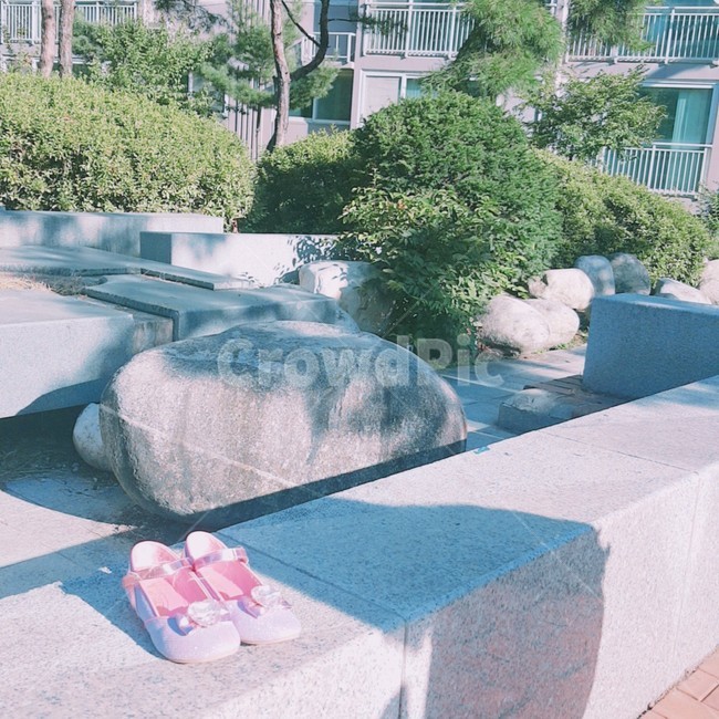 신발,햇살,돌,그림자,나무,shoes,sun,sunshine,도시,풍경,city,landscape