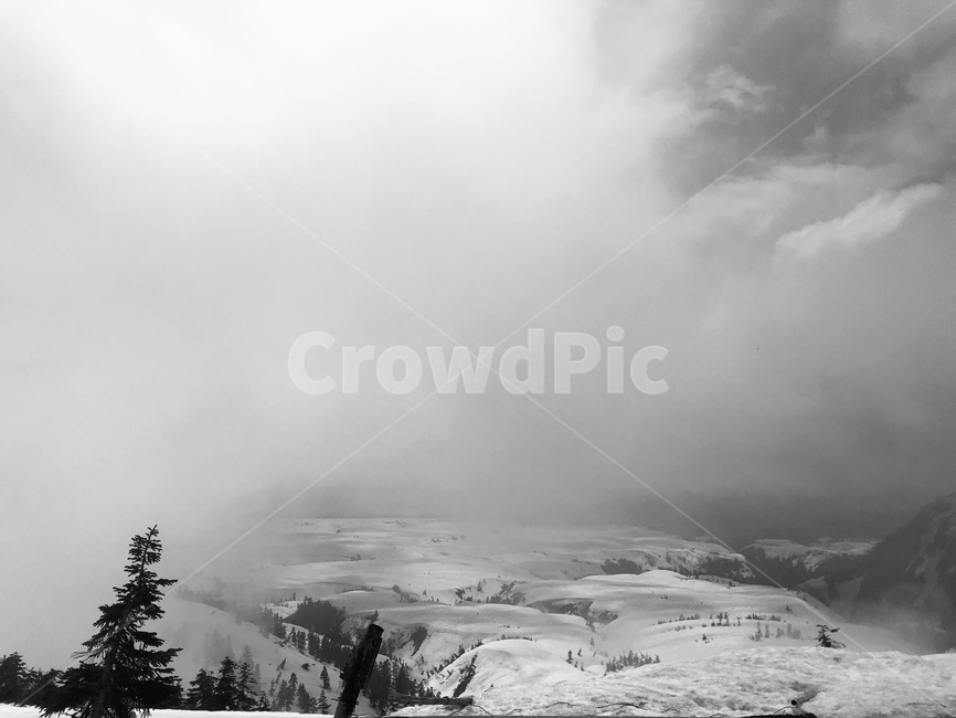 흑백사진,감성사진,눈,안개,snow,winter,겨울