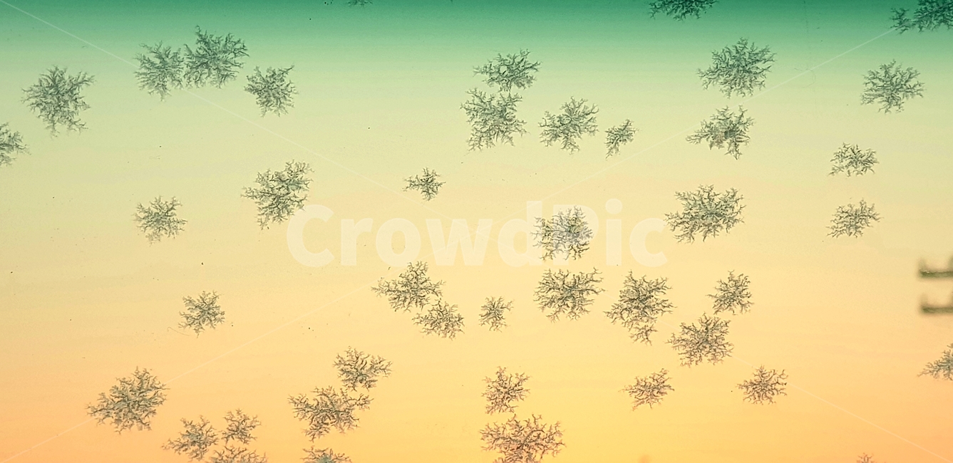 nature,자연,sand,outdoors,옥외,눈꽃,겨울,계절,winter,season