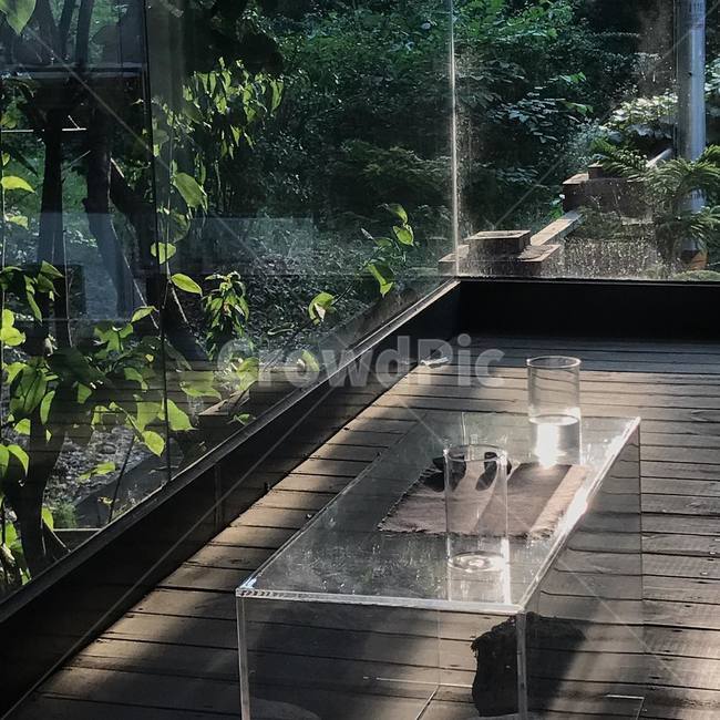 물잔,햇빛,테이블,휴식,싱그러움,사물,물건,오브젝트,thing,object,matter