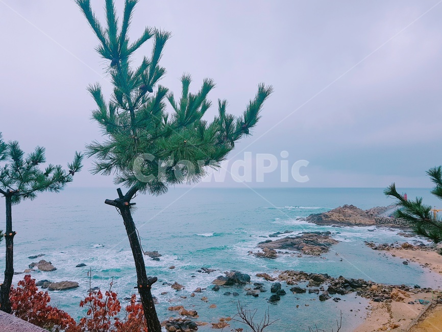 바다,바닷가,하늘,풍경,나무,tree,sea,blue,view,분위기,물,강,멋짐,색감,평화,평화로움