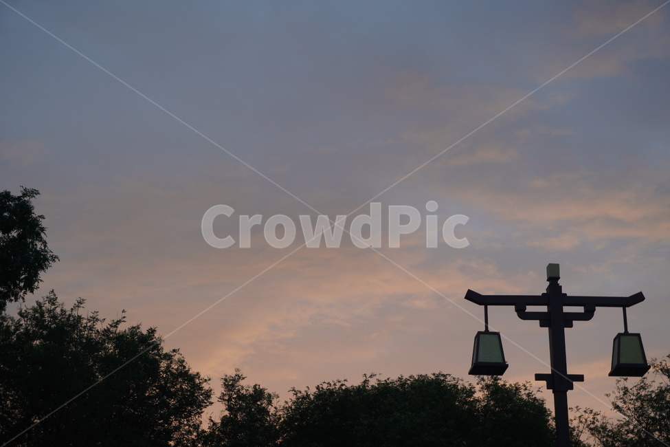 하늘,노을,sky,sunset,lamp,램프,조명,나무,tree