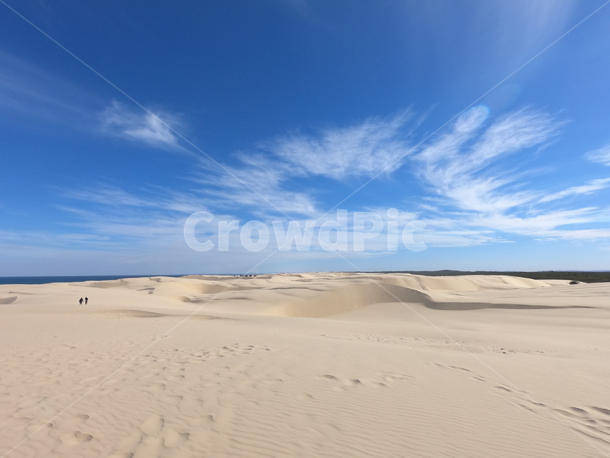 사막,포트스테판,호주,시드니,샌드보드,투어,자연,풍경,nature,landscape,soil,흙,sand,모래,outdoors,옥외,dune,모래 언덕