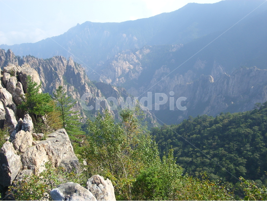 산,등산,하늘,산맥,나무,자연,풍경,nature,landscape,한국자연풍경,한국자연경관,korea nature landscape,plant,식물,tree,abies,아비,fir,전나무