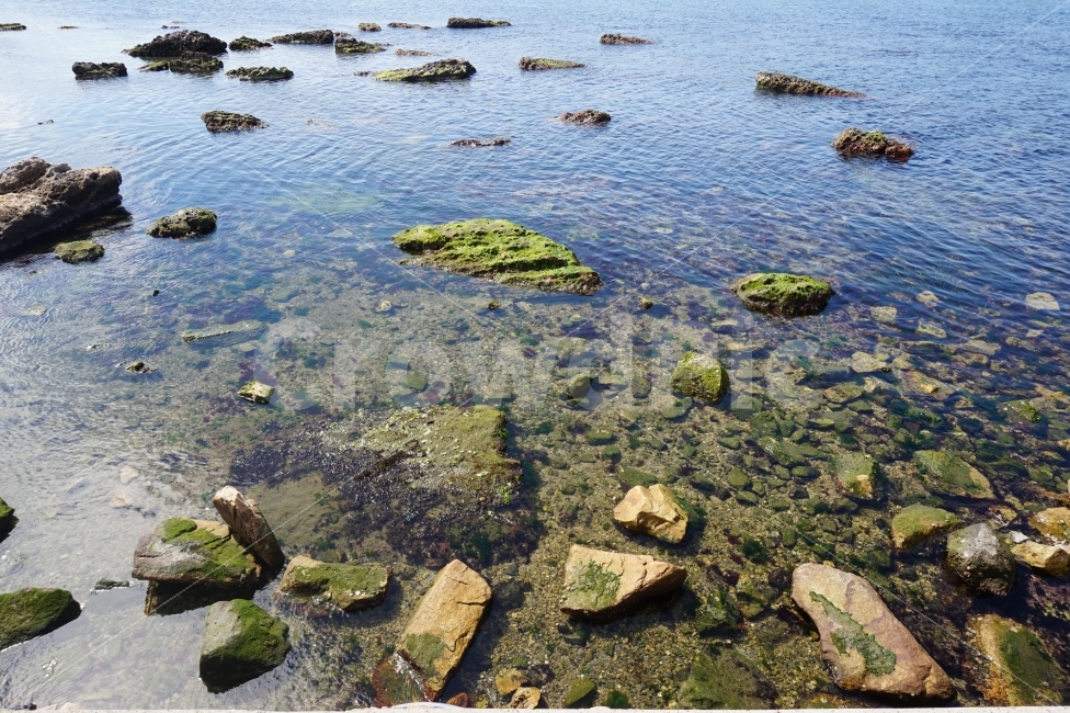 바다,여행,바닷가,해안,돌,울산,슬도,바닷물,물,sea,travel,coast,shore,seaside,ulsan,water,맑음,pure,자연,풍경,nature,landscape,plant,식물,algae,조류