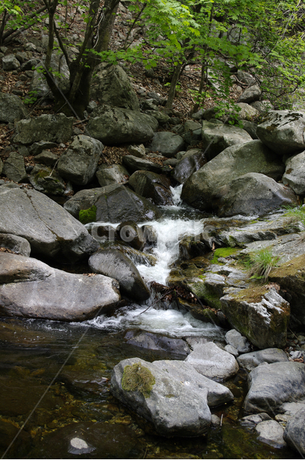 바위,냇물,강,돌,강물,자연,풍경,nature,landscape,water,물,outdoors,옥외,stream,흐름