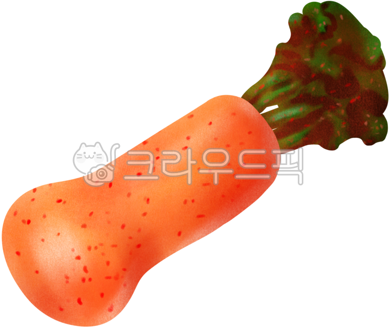 총각김치,김치,전통김치,한국음식,매운김치