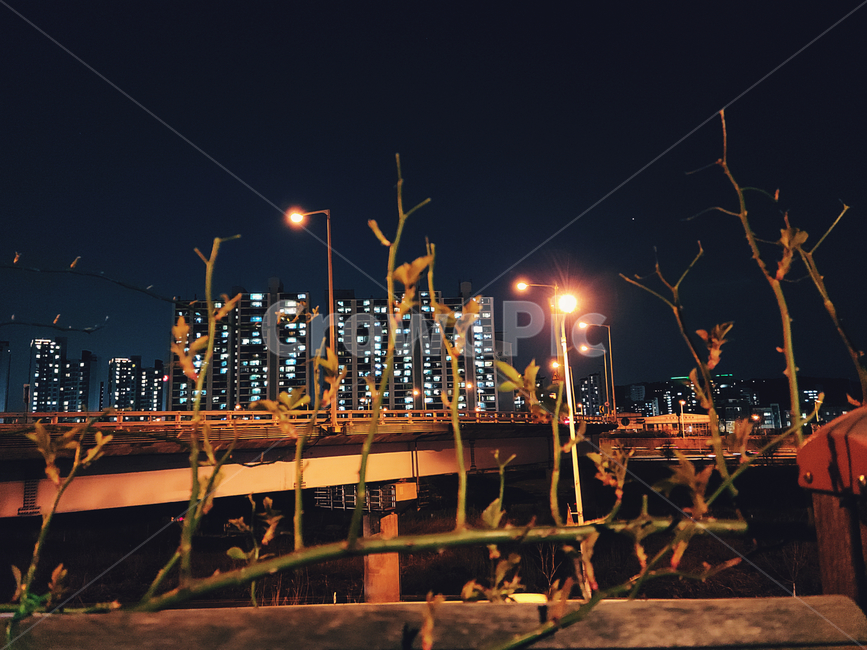 building,건물,밤하늘,야경,불빛