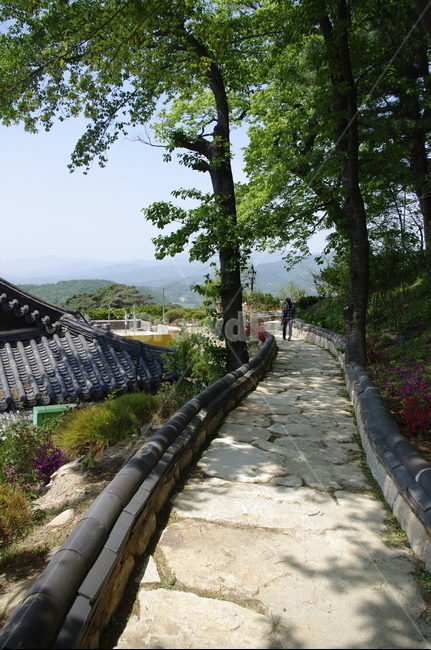 부석사,건축,전통건축,traditional,전통,기와지붕,담장,초록,나무,잎,식물,plant,계절,봄,spring,한국전통,한국문화,korean traditional,korean culture