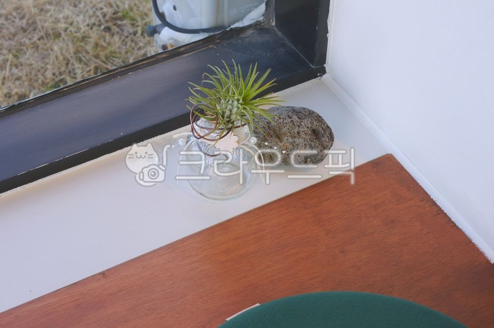 wood, 목재, windowsill, 창턱, 식물, 사진,이미지,일러스트,캘리그라피 - Fresh Eggs작가