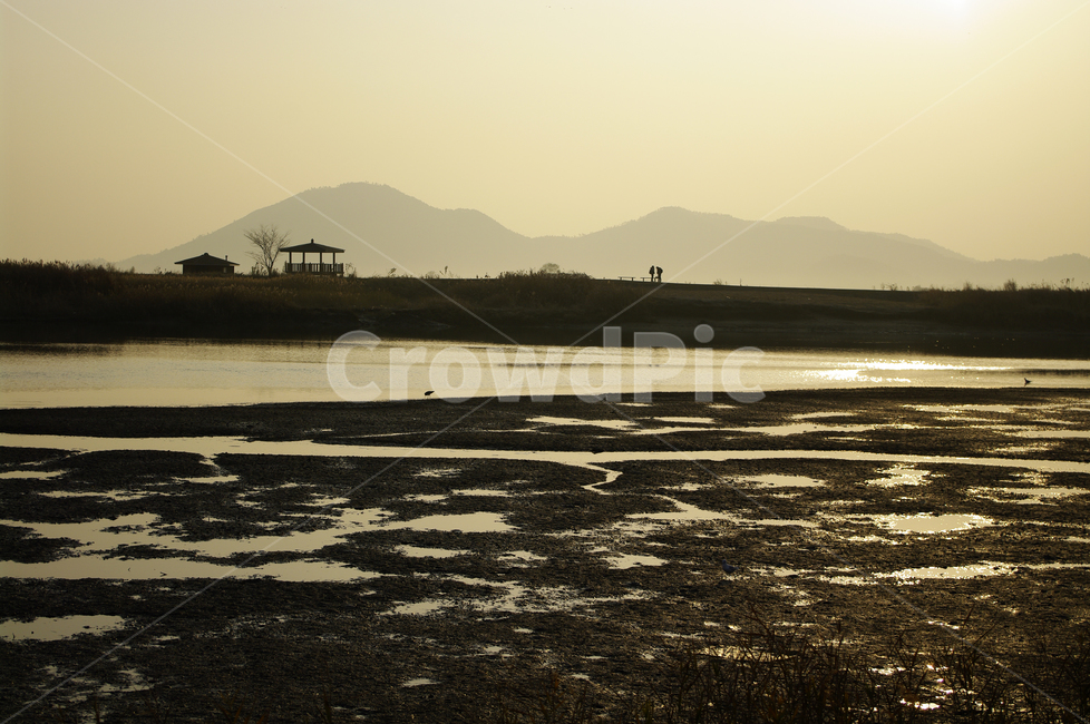 노을,풍경,plant,갯벌,강,순천만,자연,풍경,nature,landscape,한국자연풍경,한국자연경관,korea nature landscape,outdoors,옥외,land,땅