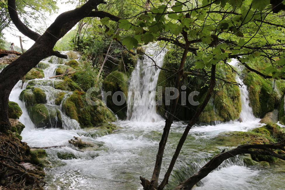 크로아티아,크로아시아,플리트비체,croatia,plitvice,plitvica,국립공원,공원,폭포,숲,요정숲,연못,강,호수,나무,여름,유럽,waterfall,pond,lake,park,tree,forest,자연,풍경,nature,landscape